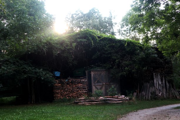 房子外图片下载