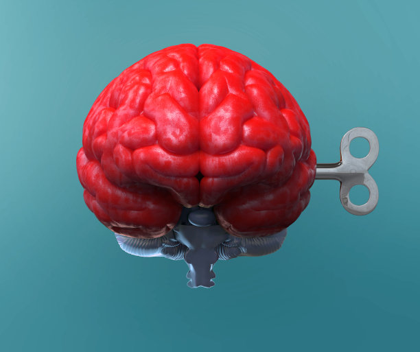 人的大脑前面是红色的，上发条键在绿色的BG上图片下载