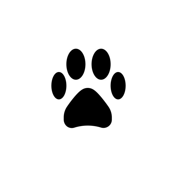 矢量黑色网页图标上的白色背景。图片下载