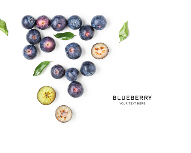 蓝莓和树叶的创意布局图片下载
