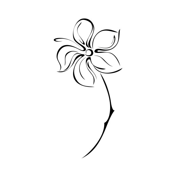 盛开的花朵85图片下载