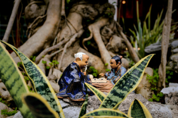 公司盯上了球员图片下载