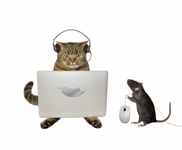 老鼠给猫电脑鼠标图片下载