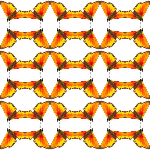 抽象无缝自然图案设计，明信片，横幅。图片下载