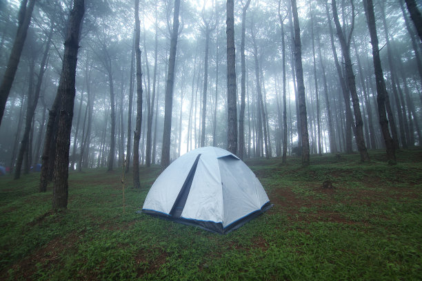 在泰国Pitsanulok省的Phu Hin Rong Kla国家公园的松林和雨季雾气弥漫的户外露营帐篷。旅游与自然的概念图片下载