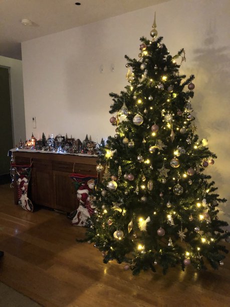 装饰圣诞树图片下载