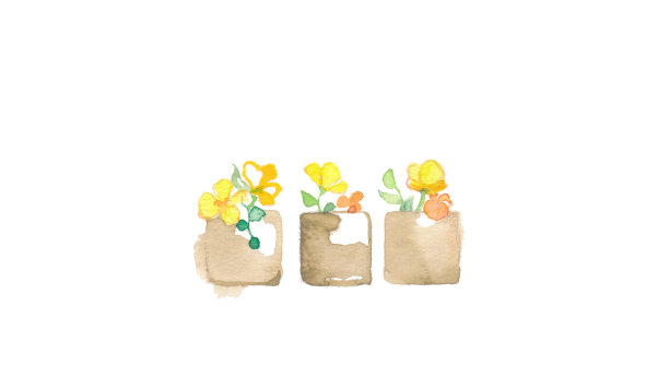 花卉素材图片下载