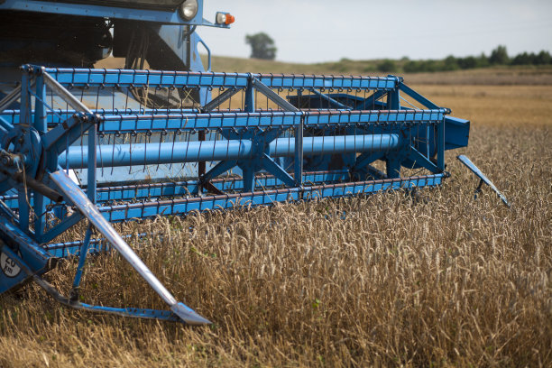 农业谷物收获用联合收割机。联合收割机前面的特写镜头图片下载