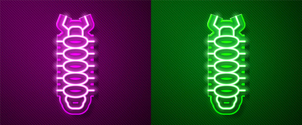 发光的霓虹灯线蜈蚣昆虫图标孤立在紫色和绿色的背景。向量图片下载