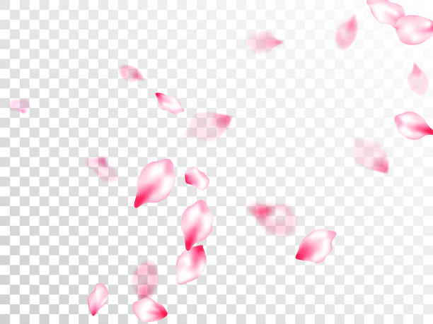 春花独瓣飞图片下载