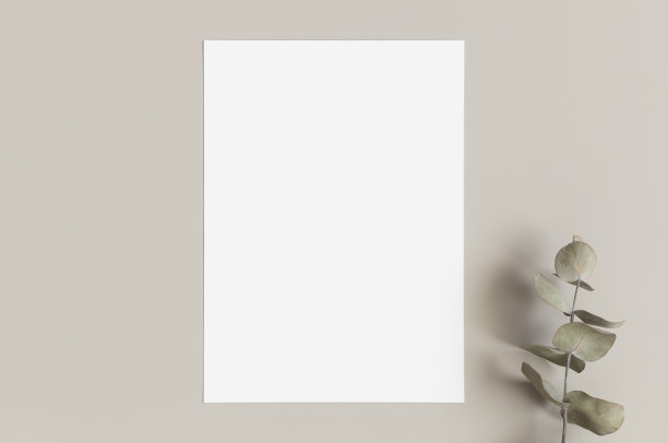 邀请白色卡片模型与桉树枝。5x7的比例，类似于A6, A5。图片下载