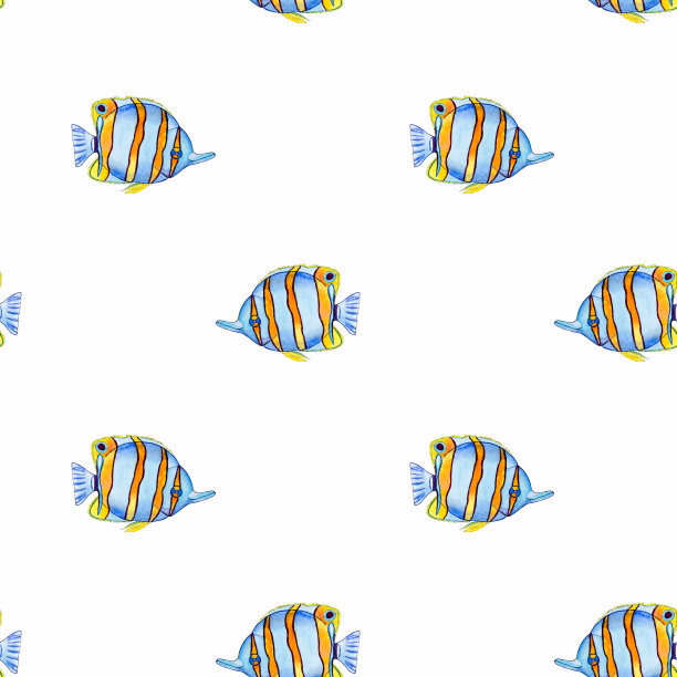 漂亮的鱼画。近距离图片下载