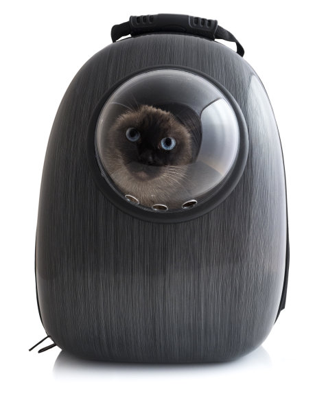 宠物笼的背包图片下载