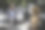 愉快的商业伙伴聊天和散步在城市户外库存照片图片下载