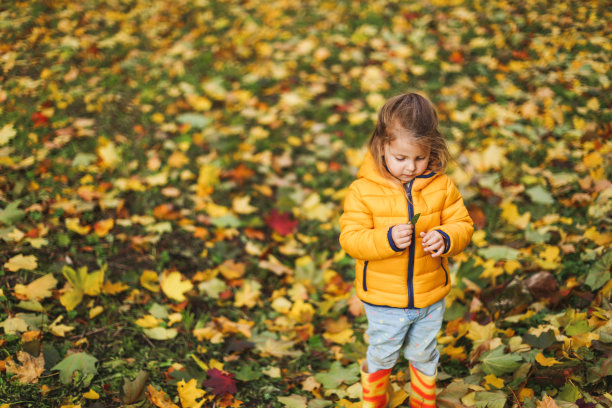 小女孩穿着时髦的黄色保暖夹克和橡胶靴子站在秋天的森林或公园户外吃纸杯蛋糕。枫叶落在地上。概念秋天家庭照片拍摄图片下载