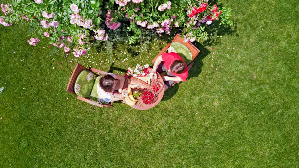 年轻的情侣在美丽的玫瑰花园享受美食和饮料，浪漫的约会，在空中俯瞰男人和女人在公园外面一起吃和喝图片下载