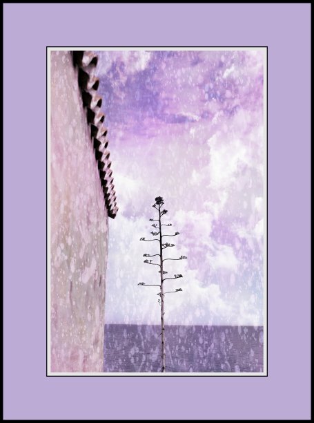 将照片转换成复古的，色彩丰富的帆布墙壁艺术照片图片下载