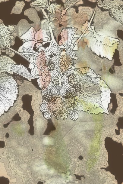 将照片转换成复古的，色彩丰富的帆布墙壁艺术照片图片下载