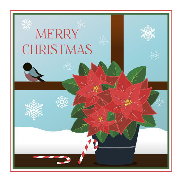 扁平风格的圣诞贺卡。生动的插图与条纹糖果手杖和一品红植物。一扇窗户可以看到一个寒冷的假日早晨美丽的雪花和红腹灰雀。海报的问候，聚会，销售，或网络广告。图片下载