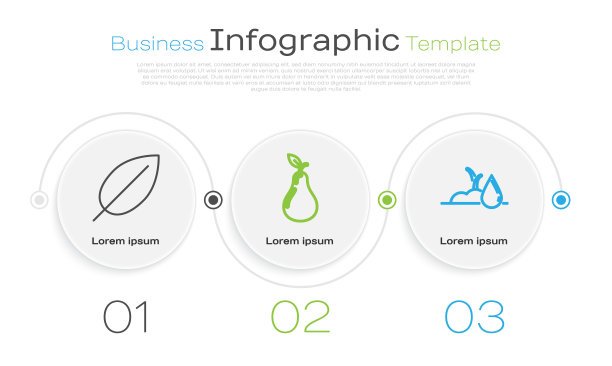 设置线叶，梨和水芽。业务信息模板。向量图片下载