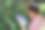 一名在苹果园工作的妇女正在使用数字平板电脑。收获与现代技术理念图片下载