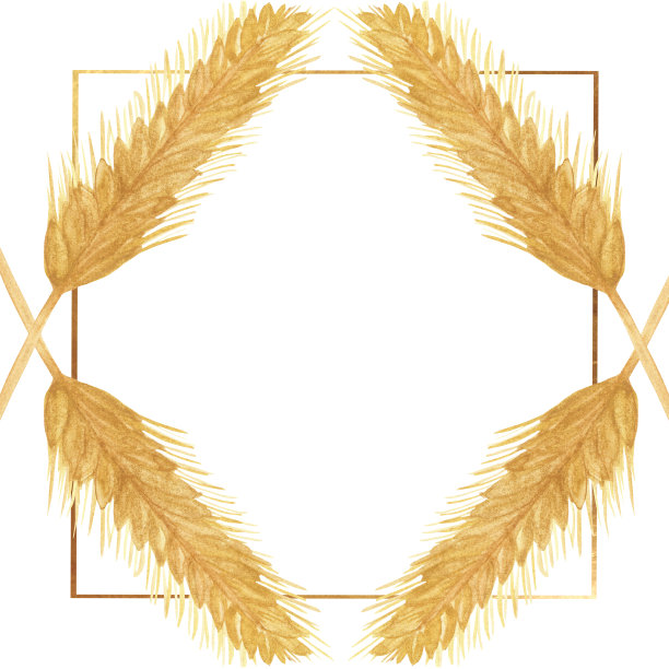 水彩手绘自然谷物田方边界金色框架与黄色谷物耳朵组成在白色背景邀请和问候卡与文字的空间图片下载