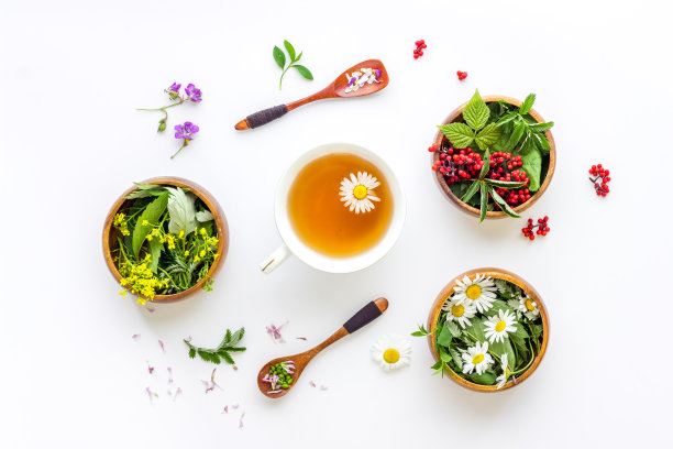 一杯含有野生草药和野花的草药茶图片下载