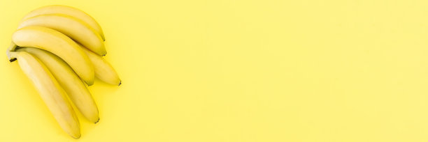 成熟的新鲜杏子图片下载