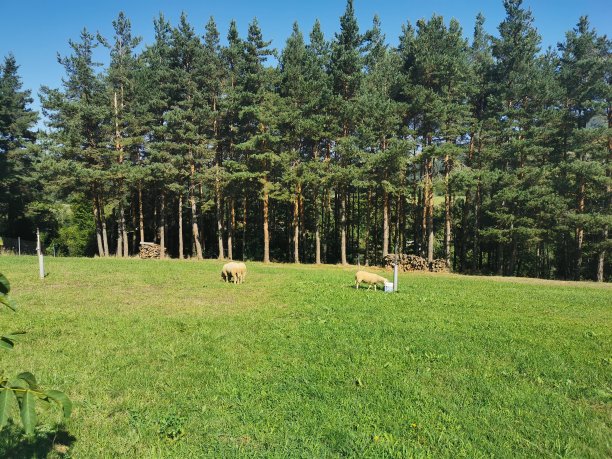 田园般的乡村图片下载