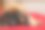 北京狗趴在红色枕头上图片下载