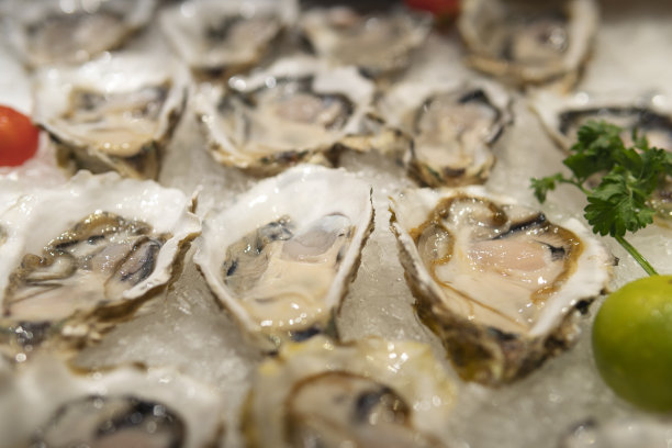 自助餐台上有很多冰生蚝图片下载