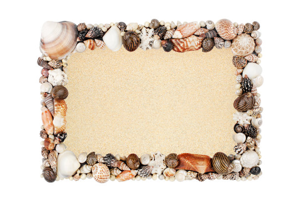 海贝，黄金沙空框白色背景孤立特写俯视图，空白的海贝边界，夏季沙滩度假，热带岛屿度假背景，旅游旅游横幅，拷贝空间图片下载