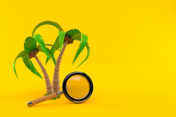 棕榈树与放大镜图片下载