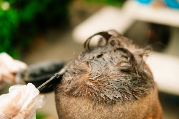 发型师用染发剂和刷子染发图片下载