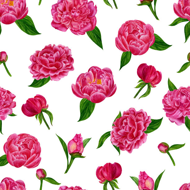 水彩手工制作的插图。粉红牡丹水彩无缝图案。花印。壁纸、面料、背景网站、包装纸等的设计。图片下载