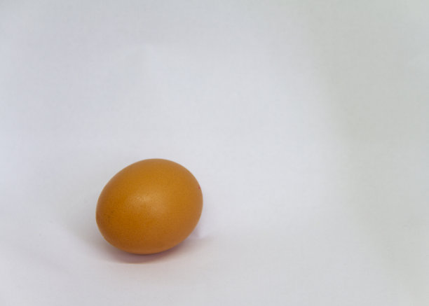 白色背景下的鸡蛋图片下载