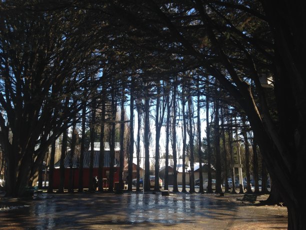 被树木包围着。图片下载