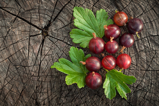 大的成熟的红醋栗和绿色的叶子，在一个木制的背景上，从一个古老的深色港口的树桩上剪下来。园艺的概念。艺术图片在乡村风格与复制空间。俯视图图片下载