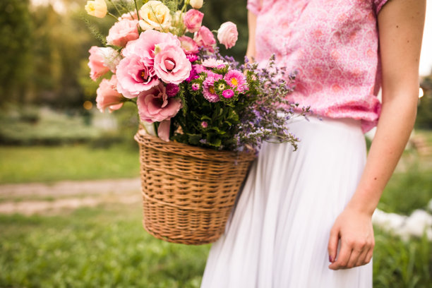 采摘花园中最美的花朵图片下载