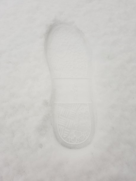 雪印图片下载