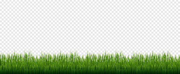 绿草框架白色背景图片下载