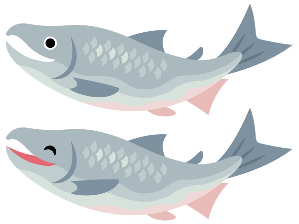 两只鲑鱼的插图图片下载