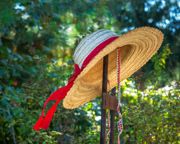 在一个阳光明媚的夏日花园的柱子上戴着草帽图片下载