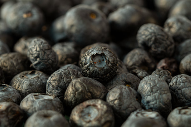成熟蓝莓的特写。俯视图干燥美味的超级食物蓝莓-健康成分的麦片，麦片。健康的生活方式，抗氧化的食物图片下载