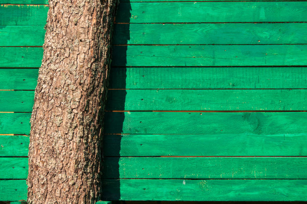 绿色木墙水平木板。墙上嵌着一根树干。背景。纹理。图片下载