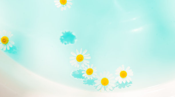黄色的小野雏菊漂浮在天堂般的蓝色泡泡水上。底部花朵的阴影。免费空间。俯视图，微距拍摄图片下载