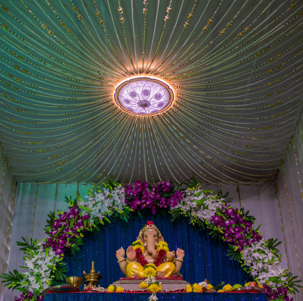 甘尼莎勋爵图片下载