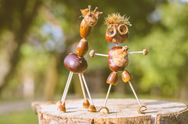 秋天的动物形象创意来自秋天的果实图片下载