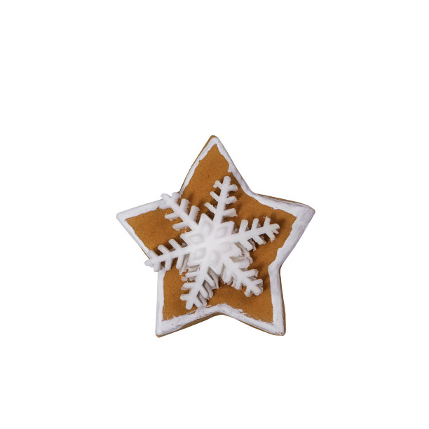 白色背景上孤立的圣诞星姜饼曲奇图片下载