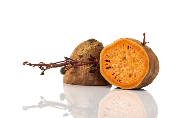 生发芽的橙黄色老甘薯图片下载